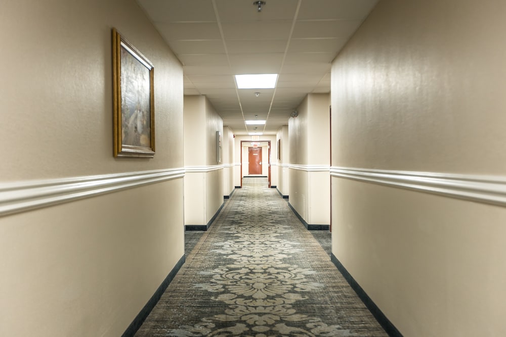 Savannah House Hotel - photo 55