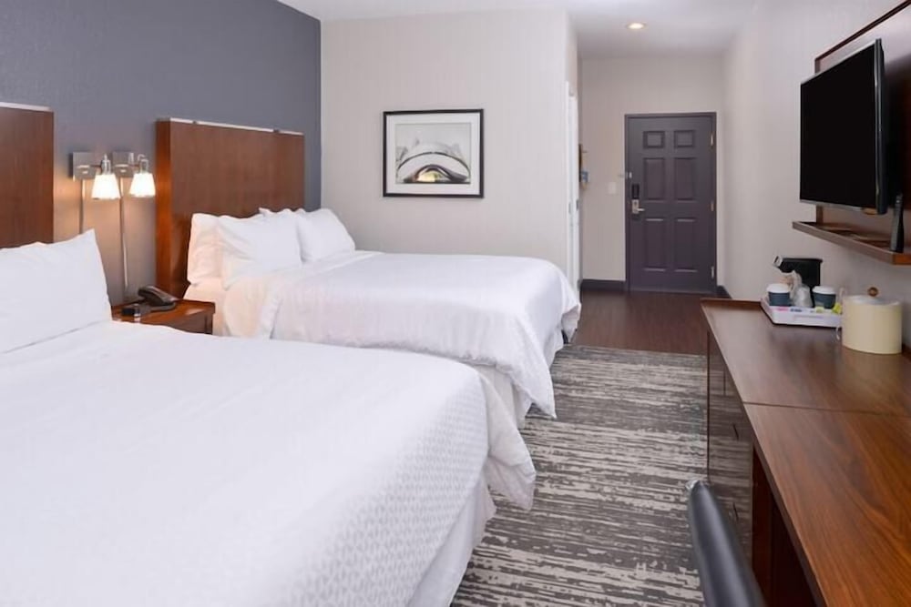 Four Points by Sheraton Mt Prospect O'Hare - photo 11