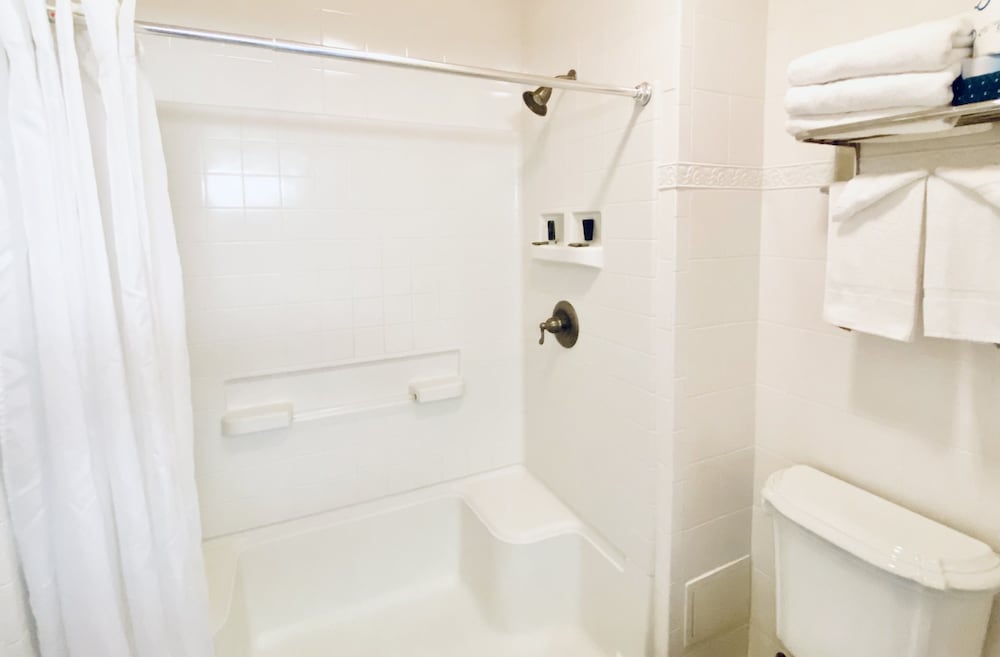Royal Inn Hotel - photo 26