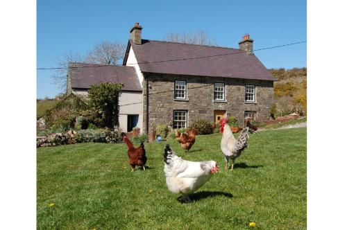 Nantgwynfaen Organic Farm Wales — 4-Star Luxury Hotel in Llandysul, United Kingdom