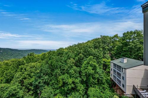 Misty Mountain Getaway - photo 3