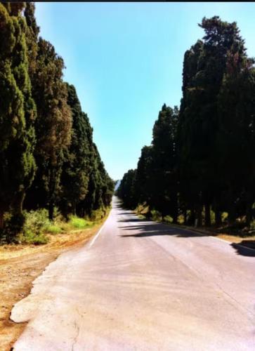 Poggio Ai Due Pini — hotel in Bibbona