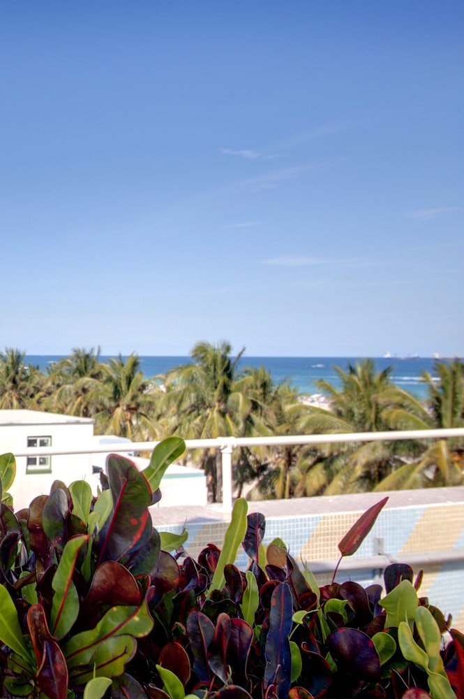 Beacon Hotel South Beach - photo 87