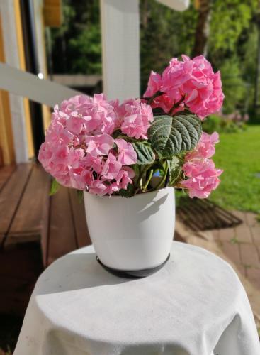 Haaran torppa in Mikkeli, Finland