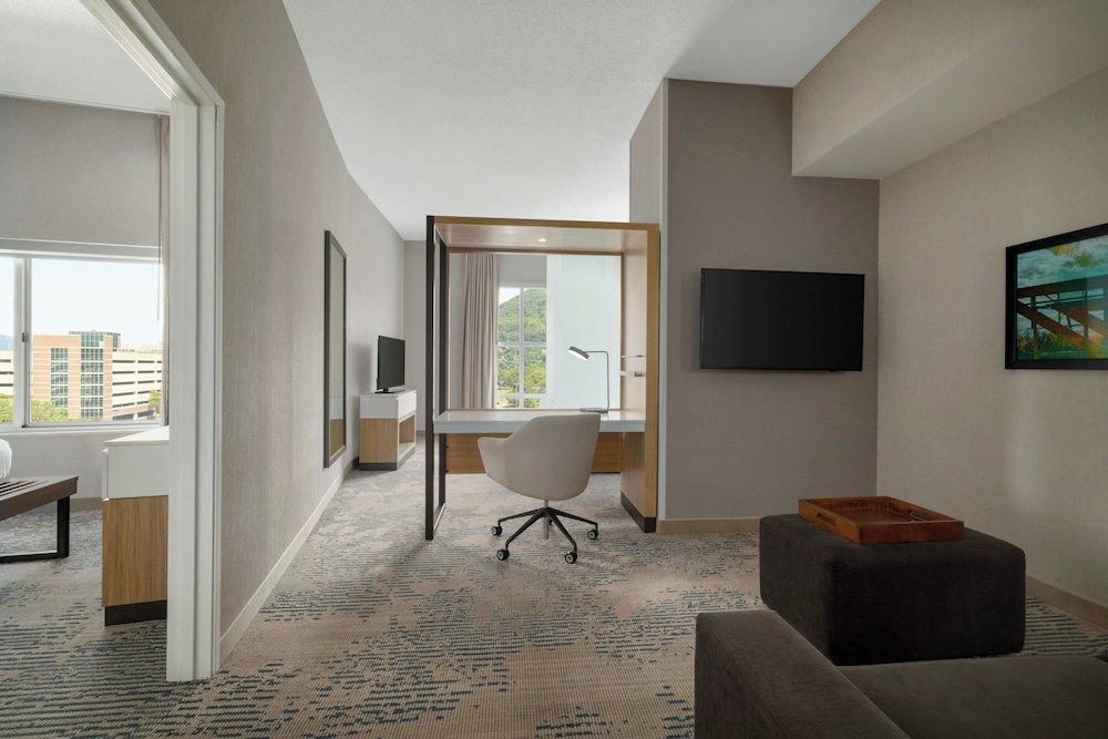 SpringHill Suites by Marriott Roanoke - photo 20