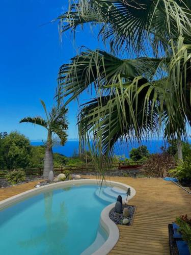 L Oasis Saint Bernard in Saint-Denis, Réunion