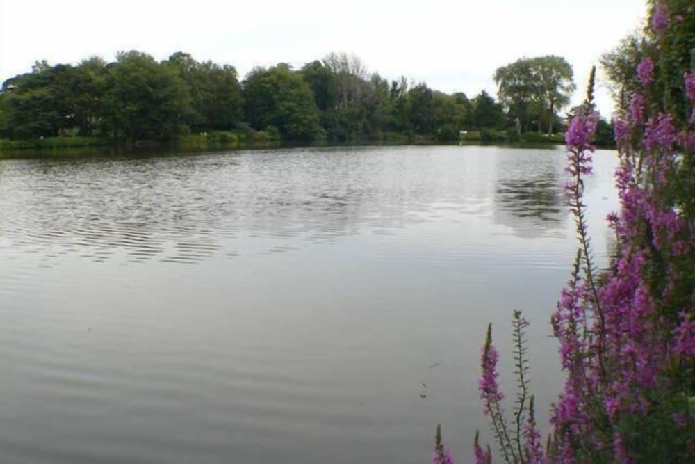 Walden on the Pond Hotel - photo 31