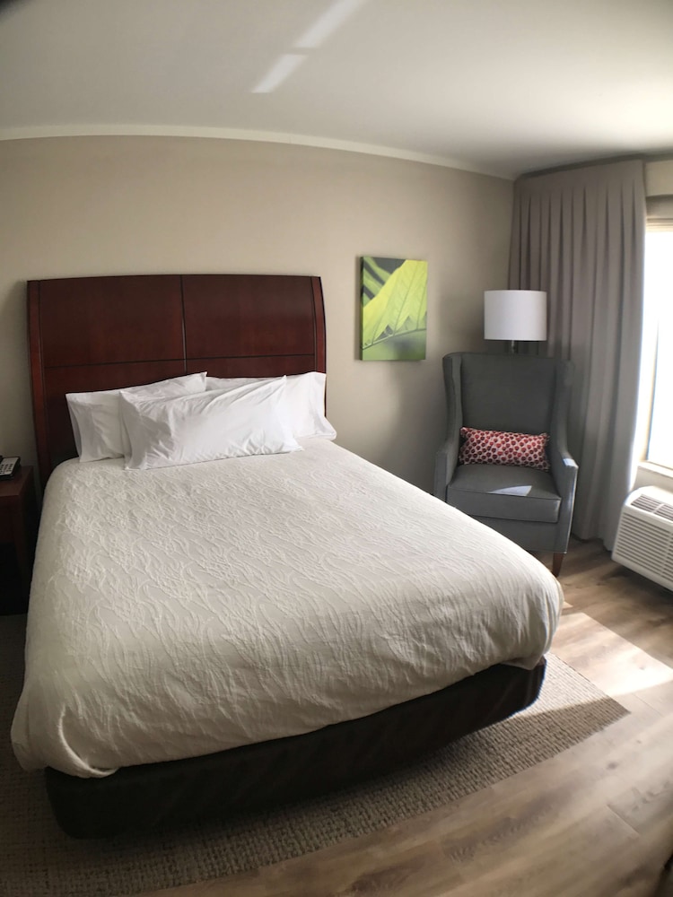 Hilton Garden Inn Bowling Green - photo 20