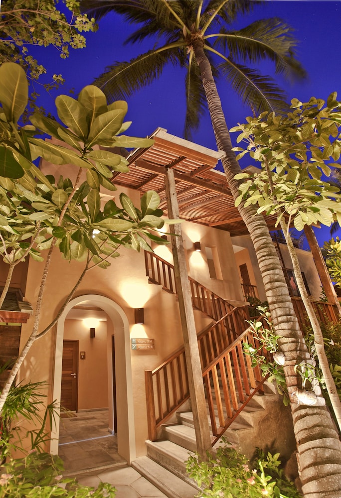 מראה חיצוני