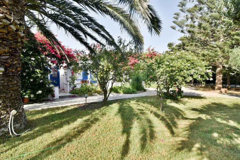 Golden Beach Hotel and Apartments in Tinos, Greece