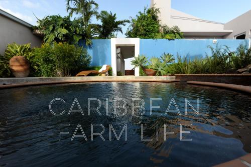 4 Casitas — 4-Star Luxury Hotel in Cabo Rojo, Puerto Rico