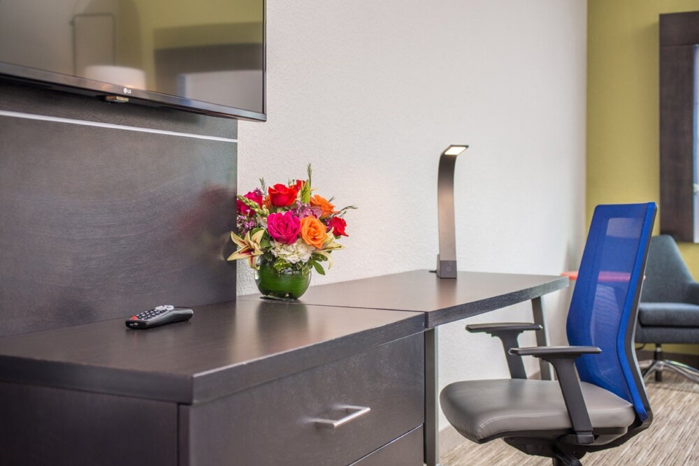 Holiday Inn Express & Suites Tampa North Wesley Chapel by IHG - photo 7