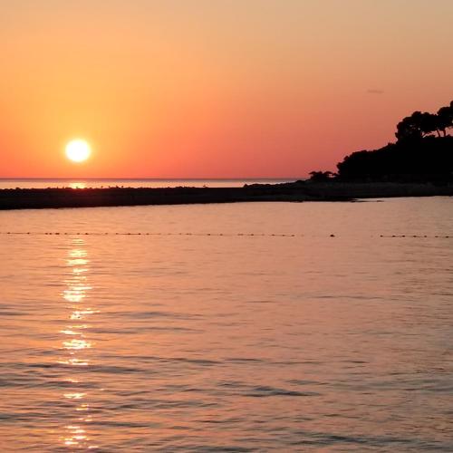 Exodus residence — 4-Star Luxury Hotel in Porec, Croatia