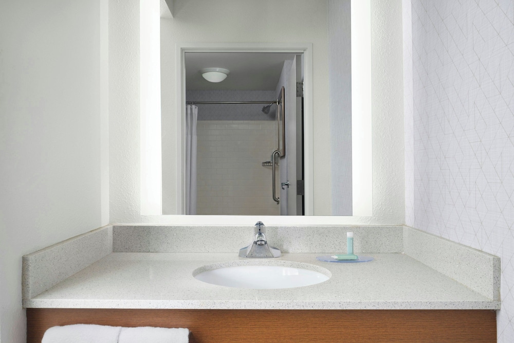 Springhill Suites by Marriott Chicago Downtown River North - photo 15
