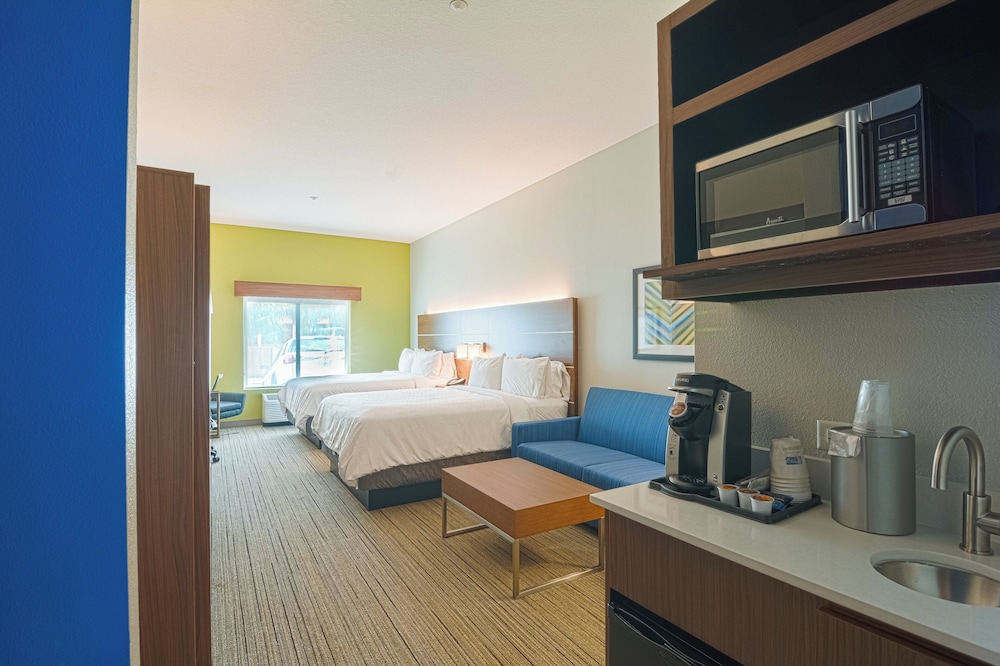 Holiday Inn Express & Suites Tampa USF Busch Gardens by IHG - photo 18