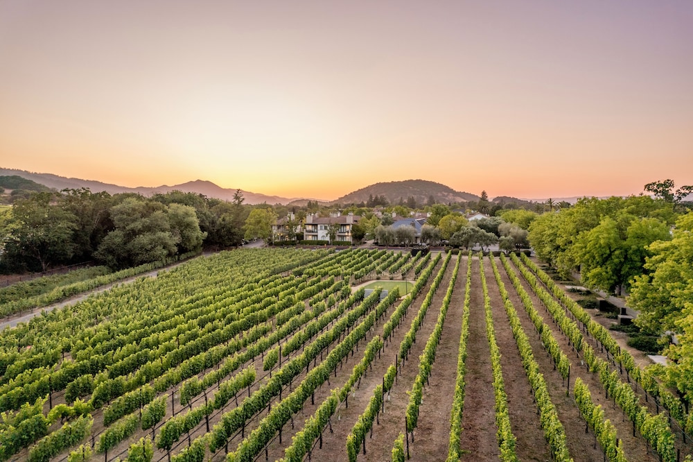The Estate Yountville - photo 59