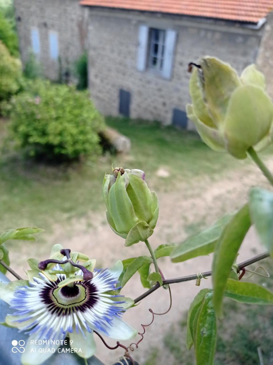 Ferme de Fenivou pet-friendly hotel Boulieu-Les-Annonay