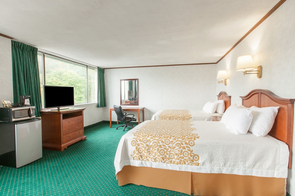 Schenectady Inn & Suites - photo 9