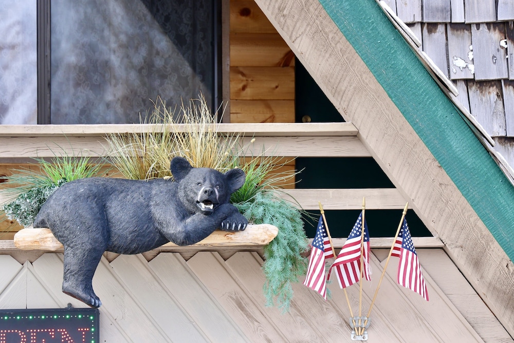 Rocky Mountain Lodge - photo 46
