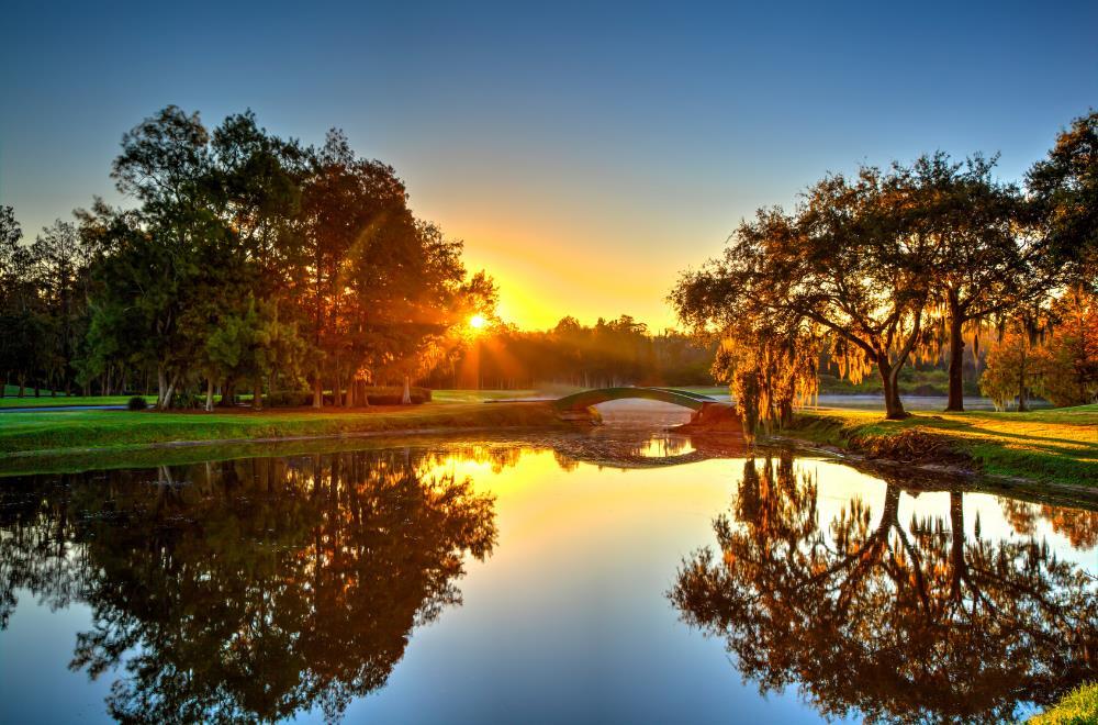 Innisbrook Resort - photo 91