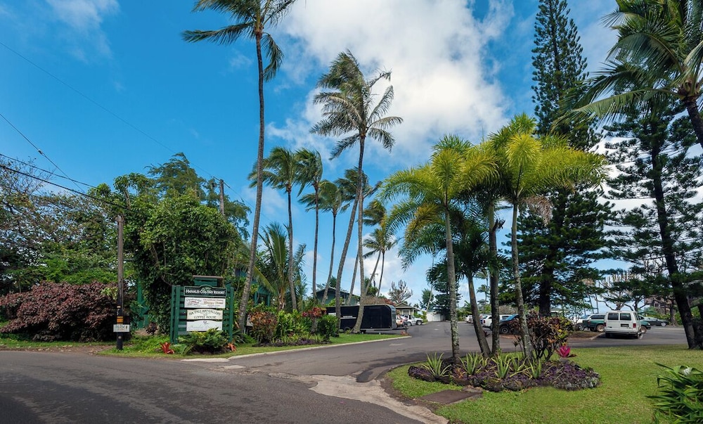 Hanalei Colony Resort E3 1 Br Condo - photo 19