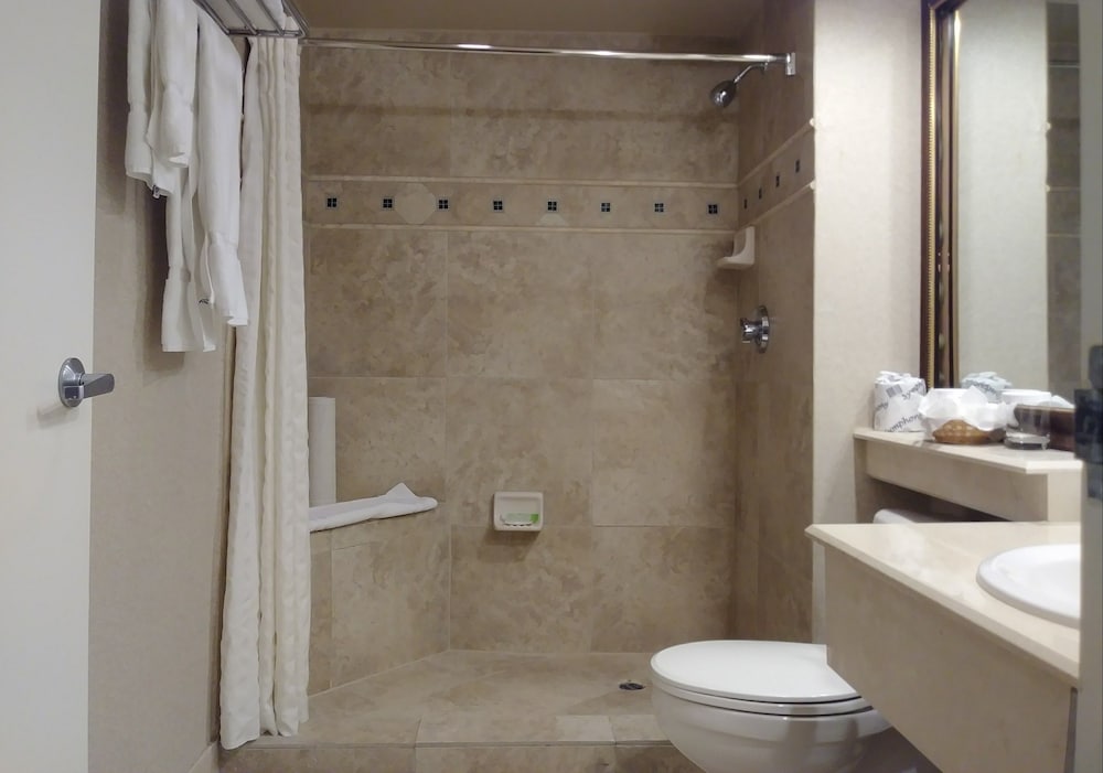 Indian Wells Resort Hotel - photo 20
