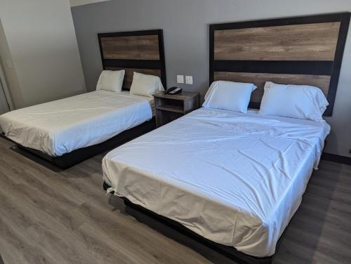 Captain Suites - photo 15