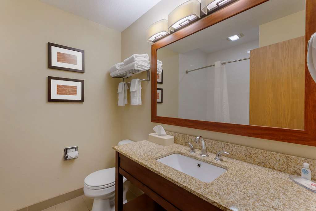 Comfort Inn River's Edge - photo 15