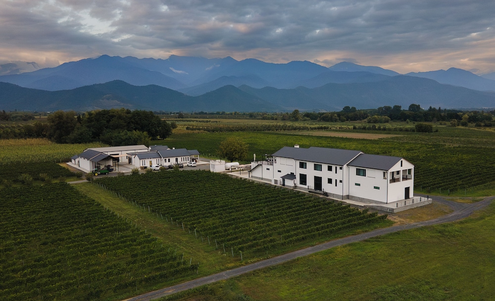Eclipse Winery Boutique Hotel in Qvareli, Georgia