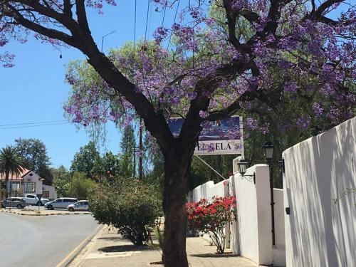 Cela in Windhoek, Namibia