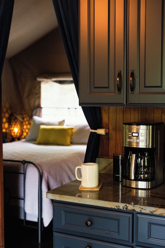 Destination Resort - photo 12