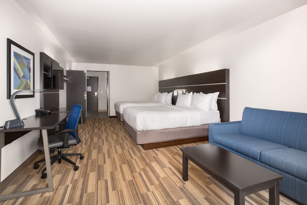 Holiday Inn Express & Suites Rapid City Rushmore South by IHG - photo 17