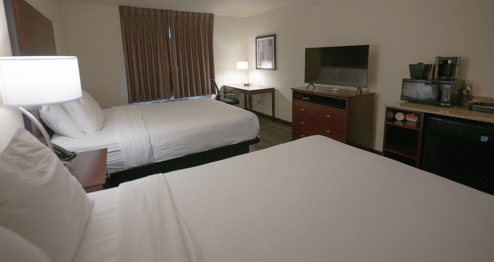 Cobblestone Hotel & Suites Lamar - photo 37