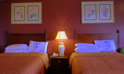 Somerville Inn & Suites - photo 11