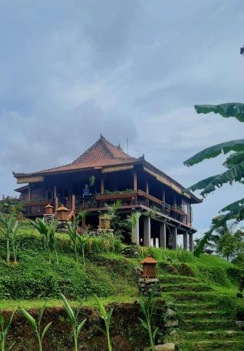Rumah Pacung — Unknown City — photo 3