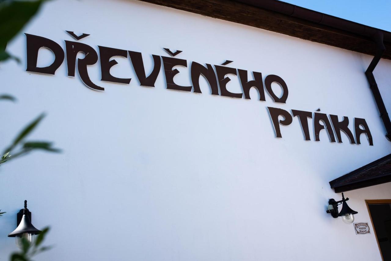 Penzion U Dreveneho Ptaka — Protivin