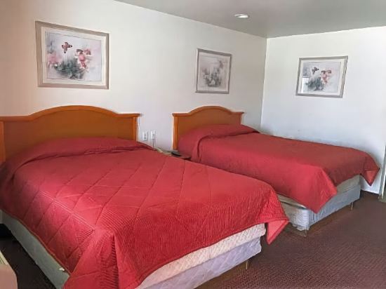 Nogalitos Motel - photo 9