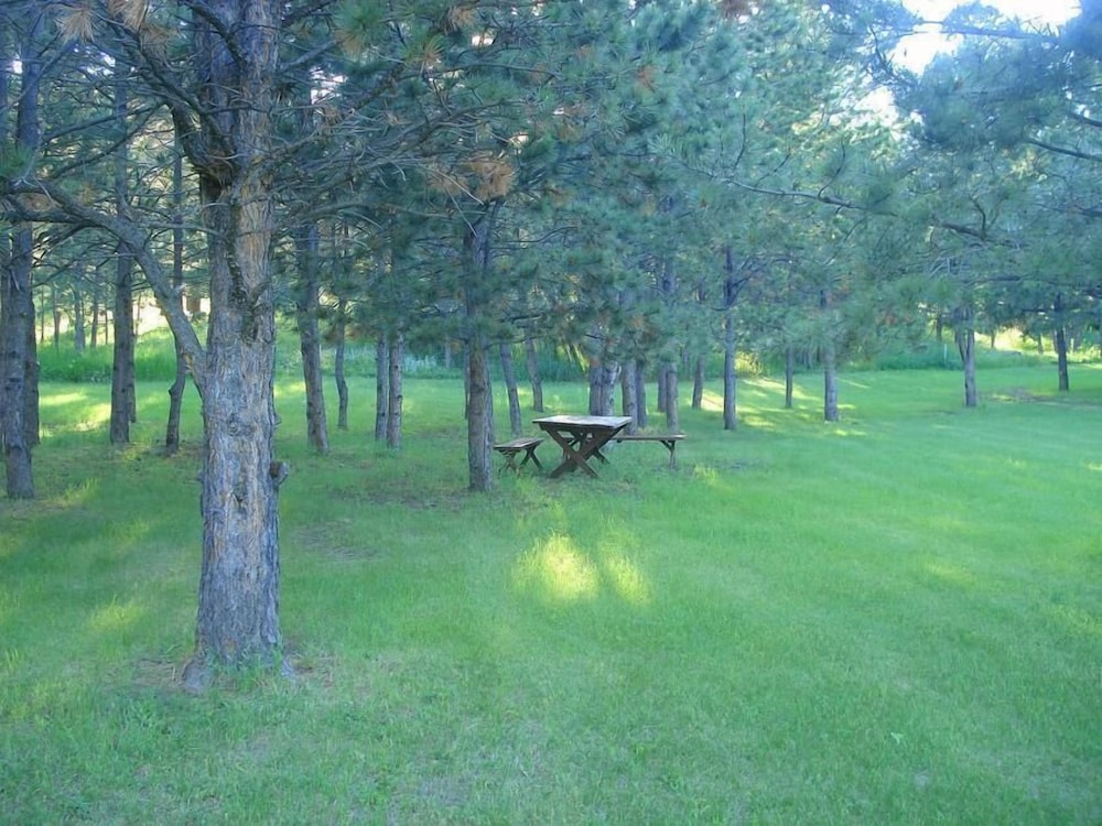 Rush No More RV Resort and Cabins Campground - photo 12