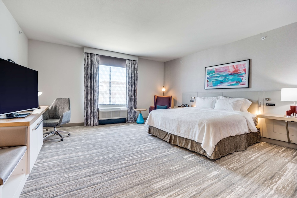 Hilton Garden Inn North Dallas Central Expy - photo 14