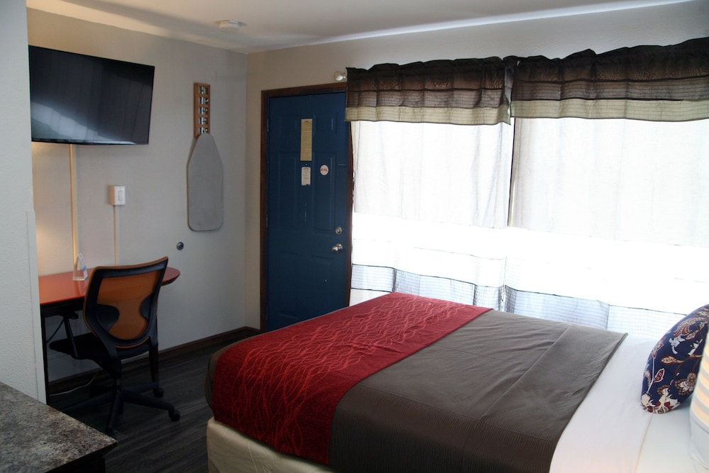South T Motel - photo 36