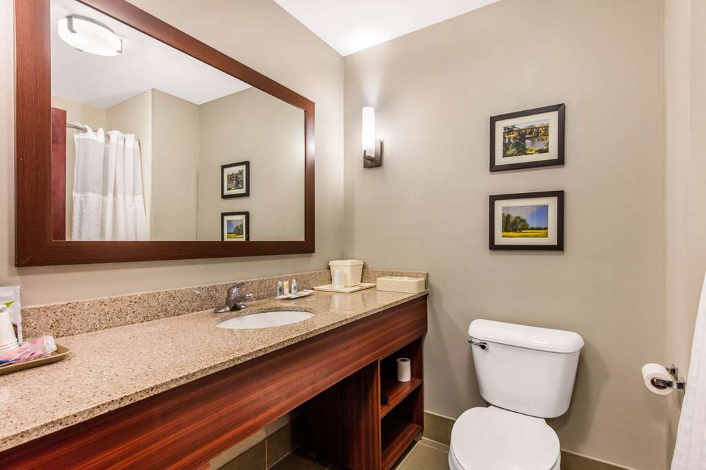Comfort Suites Tuscaloosa near University - photo 30