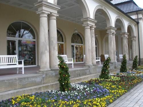 Hotel Promenade — hotel in Bad Steben