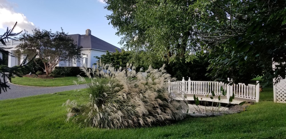 Black Horse Inn - photo 34