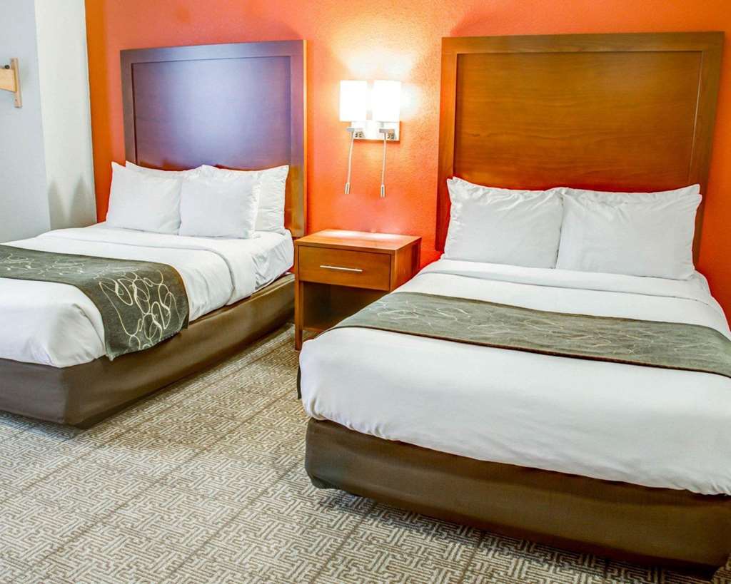 Comfort Suites Tyler South - photo 13