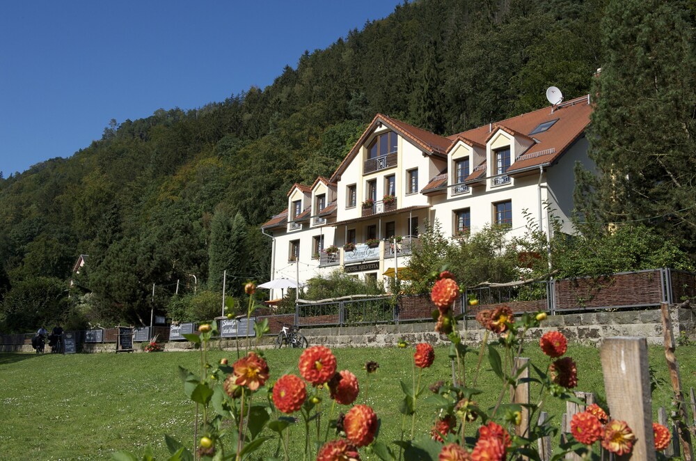 Bio & Nationalparkhotel Helvetia — 4-Star Luxury Hotel in Bad Schandau, Germany