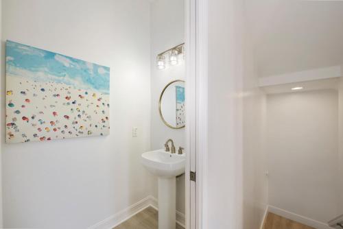 Delmar Dolphin - photo 37