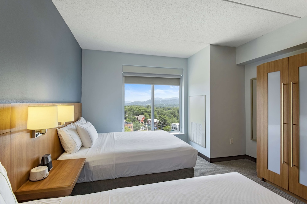 DoubleTree by Hilton Asheville Downtown - photo 25
