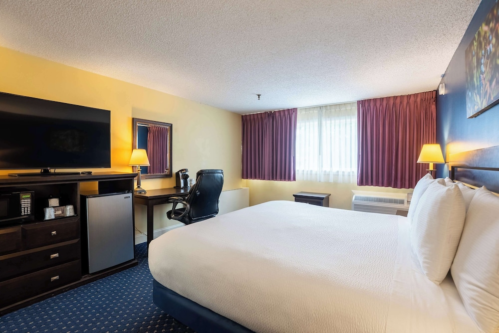 Fireside Inn & Suites Waterville - photo 6