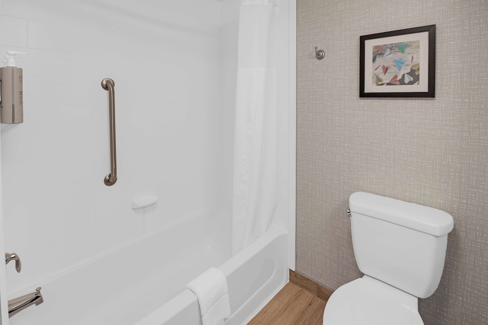 Hampton Inn & Suites Sarasota Bradenton Airport FL - photo 60