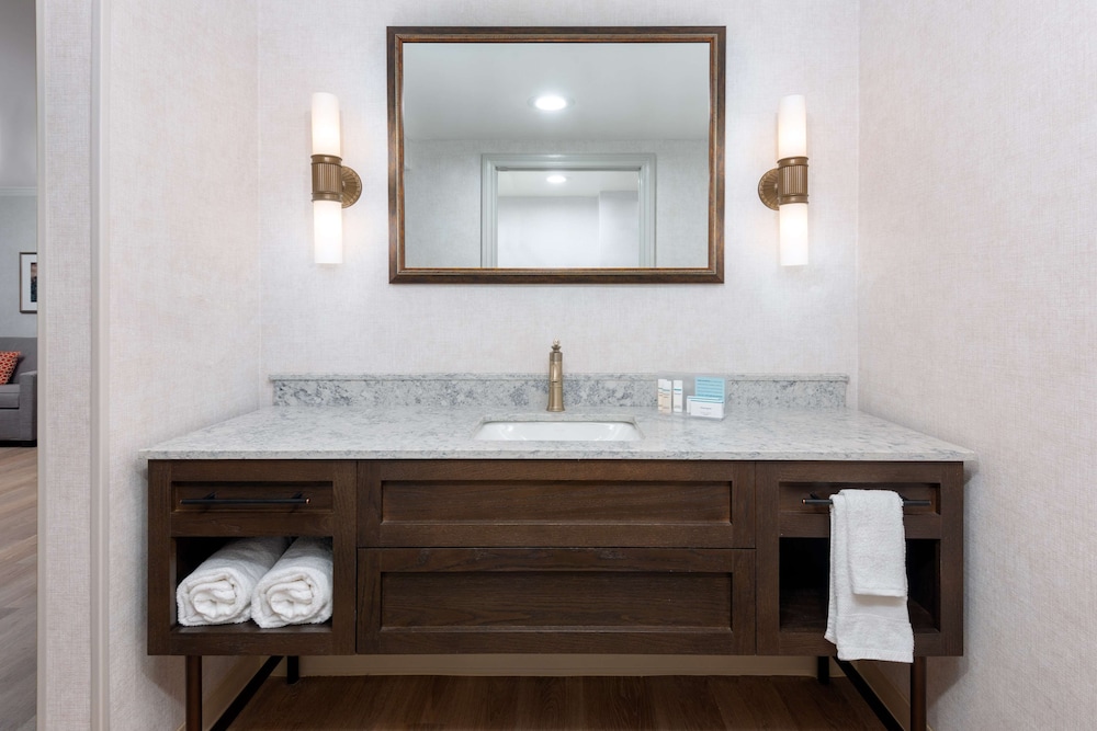 Hampton Inn Buffalo Williamsville - photo 29